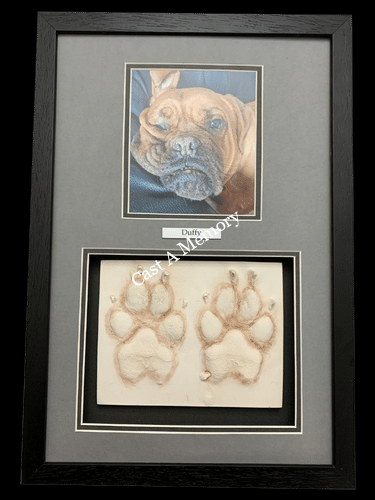 1 dog paw prints in clay with photo framed