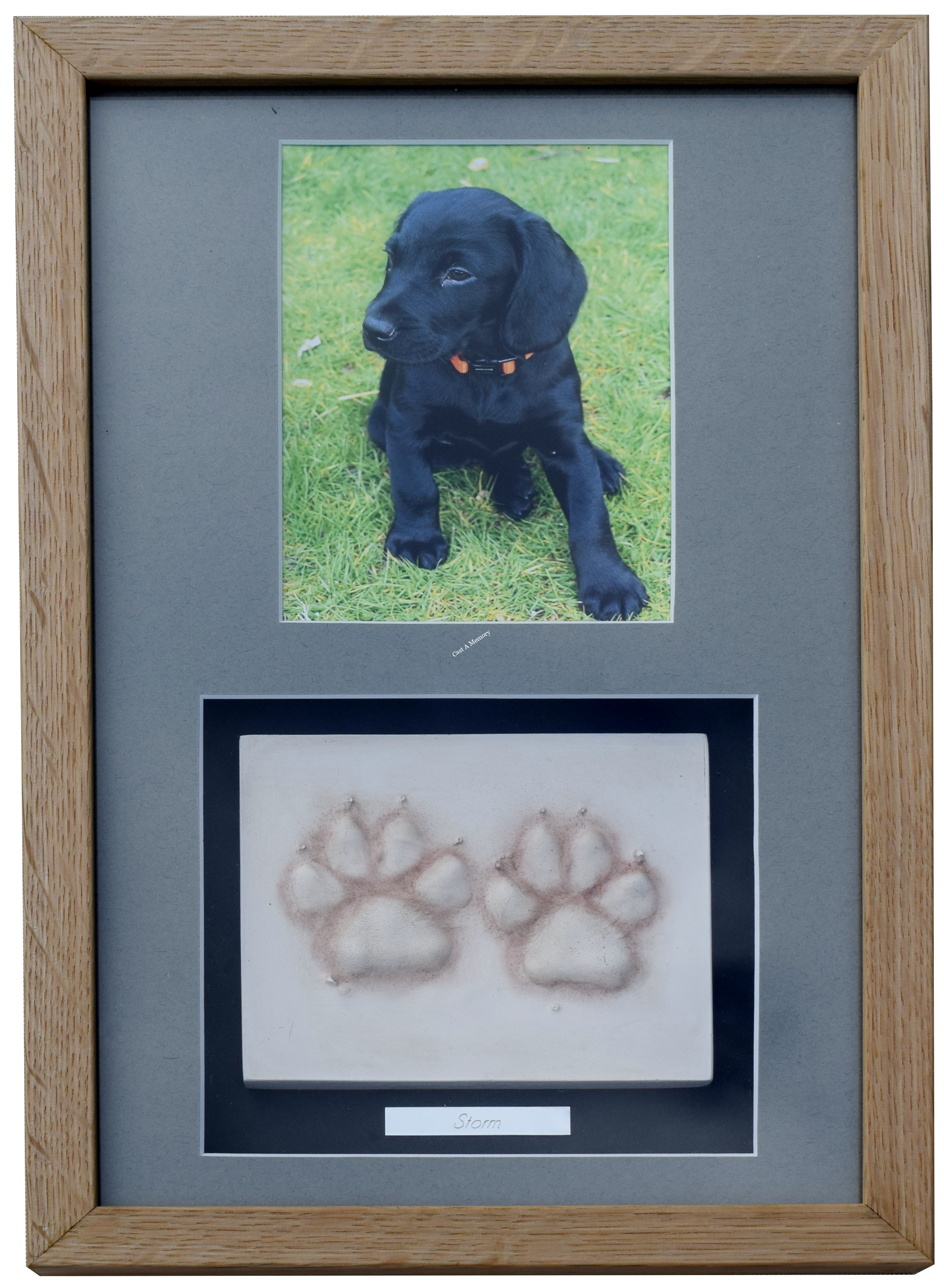 dog paw print remembrance