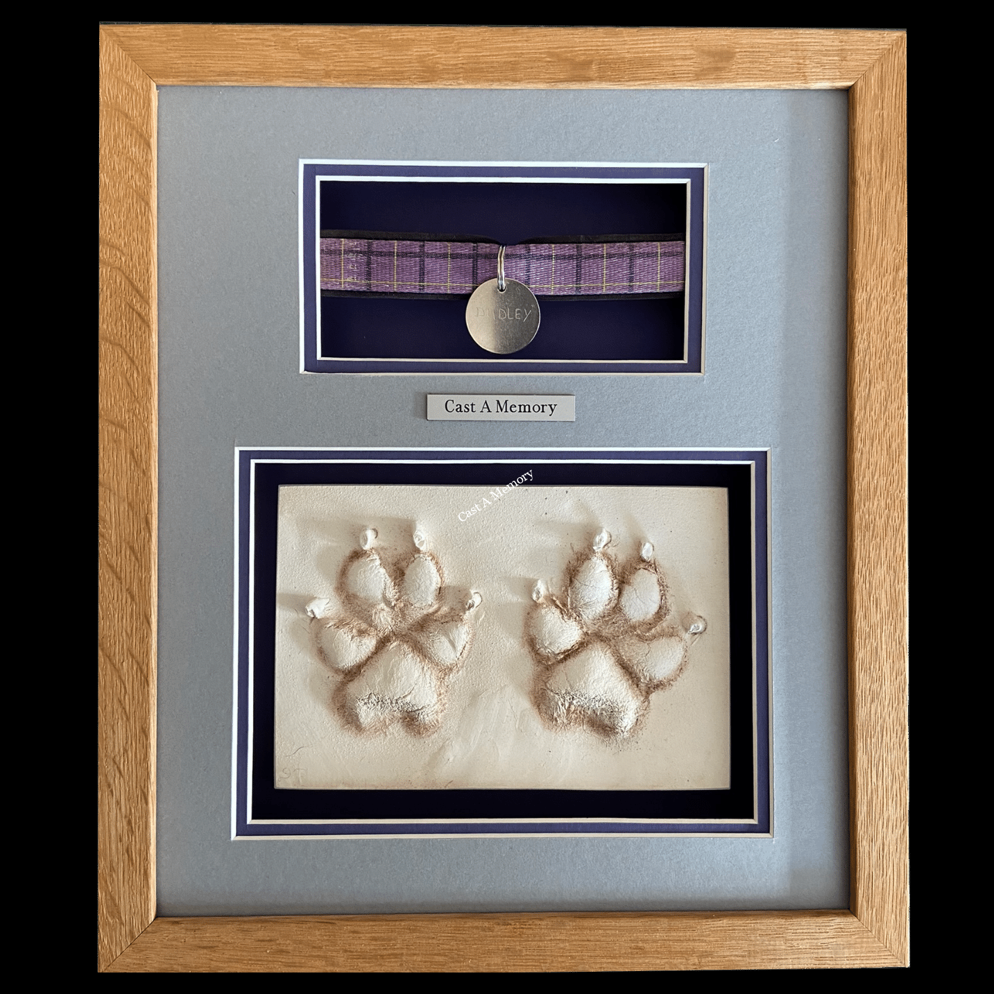 two paw prints and collar in frame