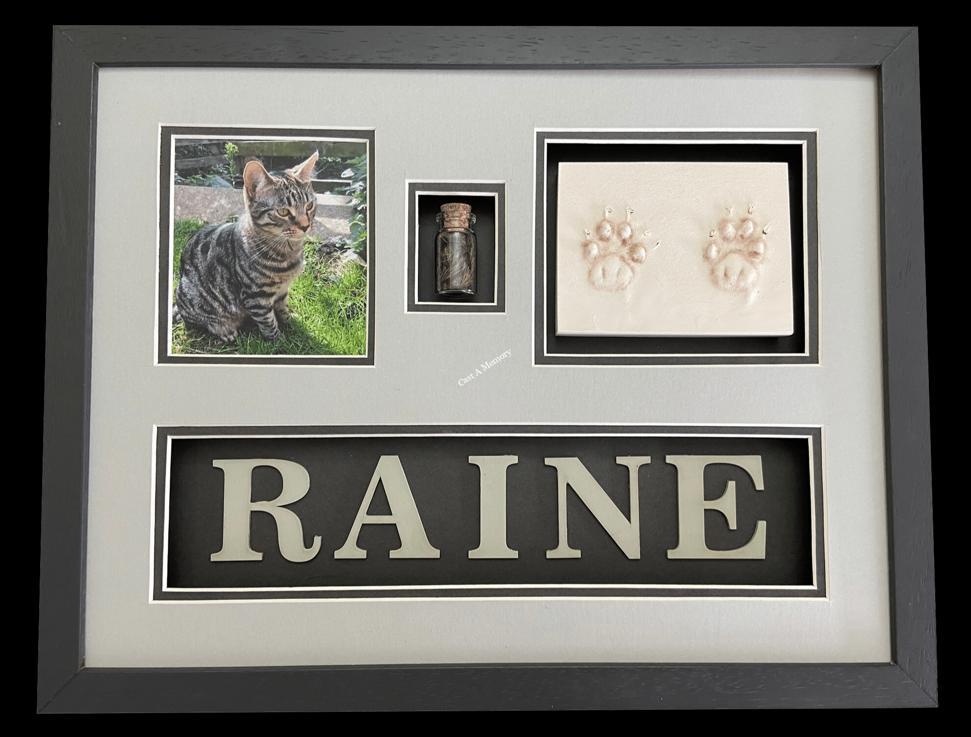 Cat clay paw prints hair and photo