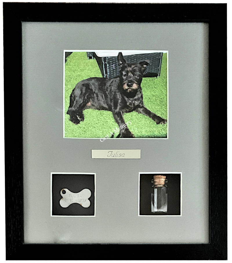 Dag tag and hair framed with photo