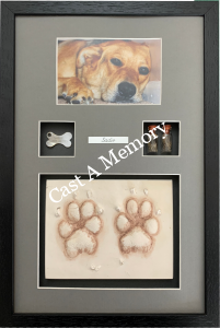 Dog Paw Prints in Clay with photo tag and hair