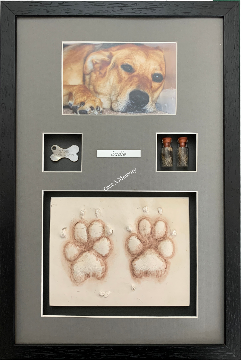 Dog Paw Prints in Clay with photo tag and hair