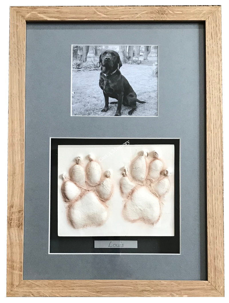 Dog Paw Prints in Clay with photo