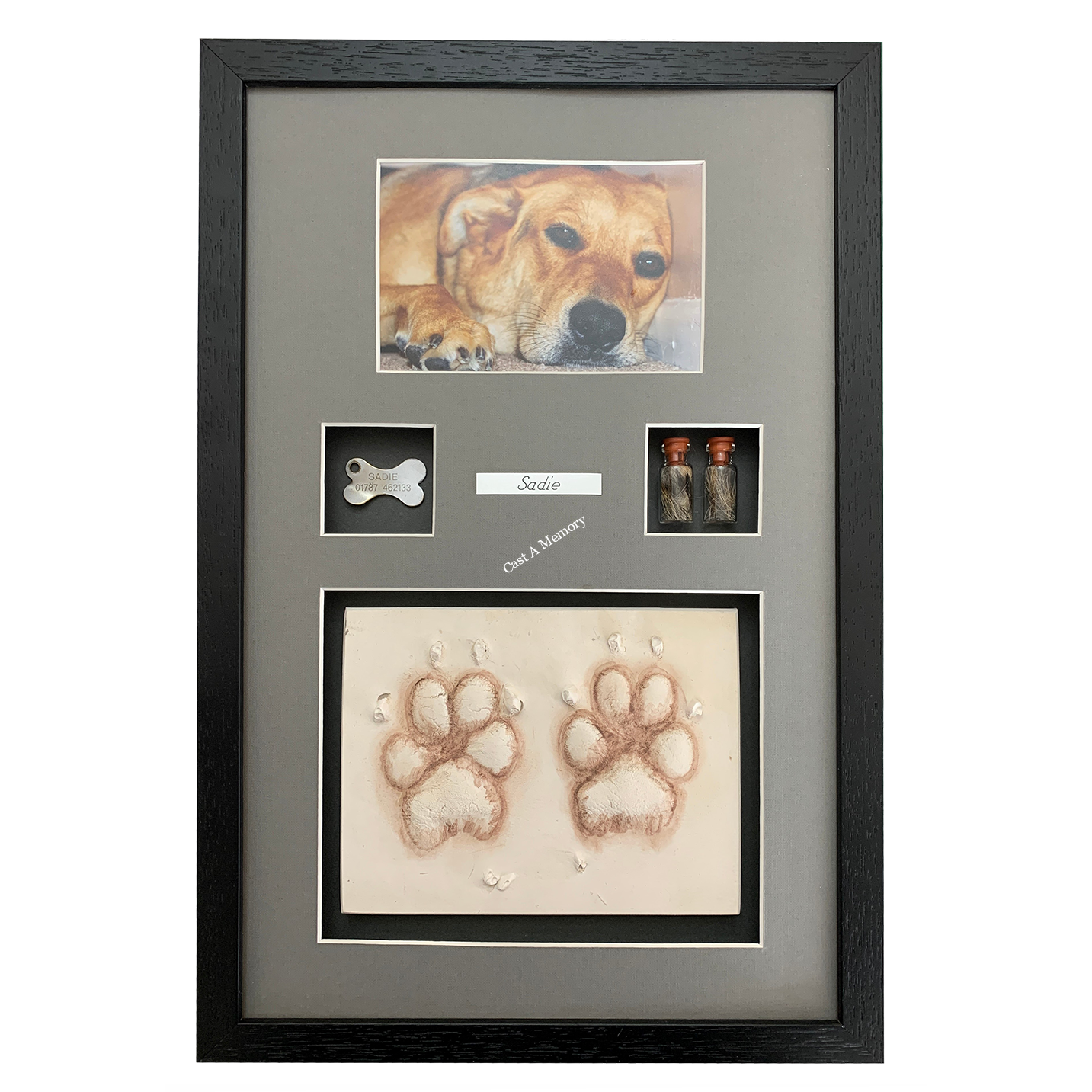 Dog Paw Prints in Clay with photo tag and hair