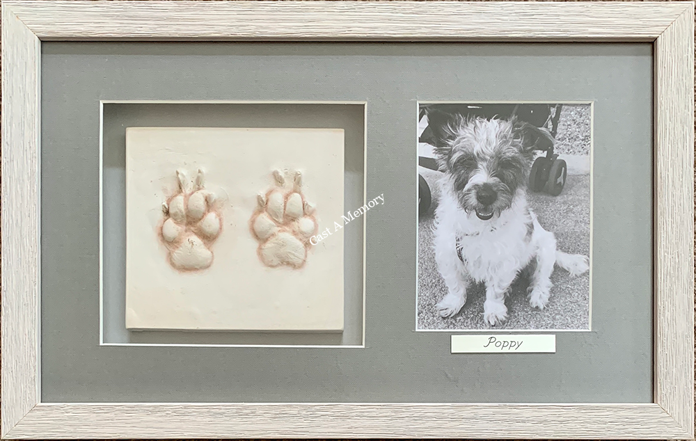 Framed clay dog paw print with black and white photograph