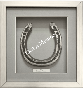 Lucky Horse Shoe framed in box frame