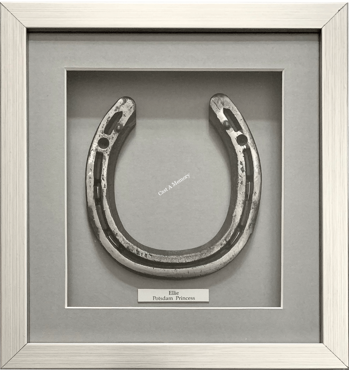Lucky Horse Shoe framed in box frame