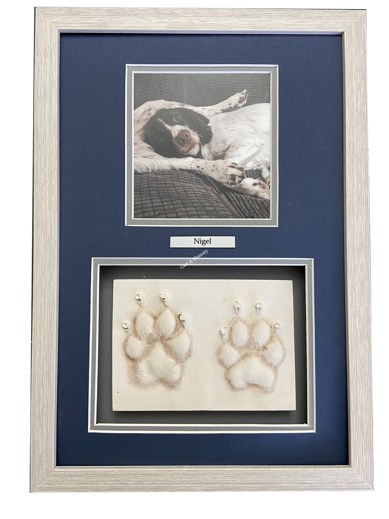 Dog Paw print gifts