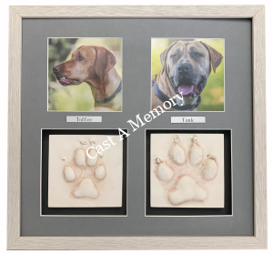 Dog pawprints in clay keepsake