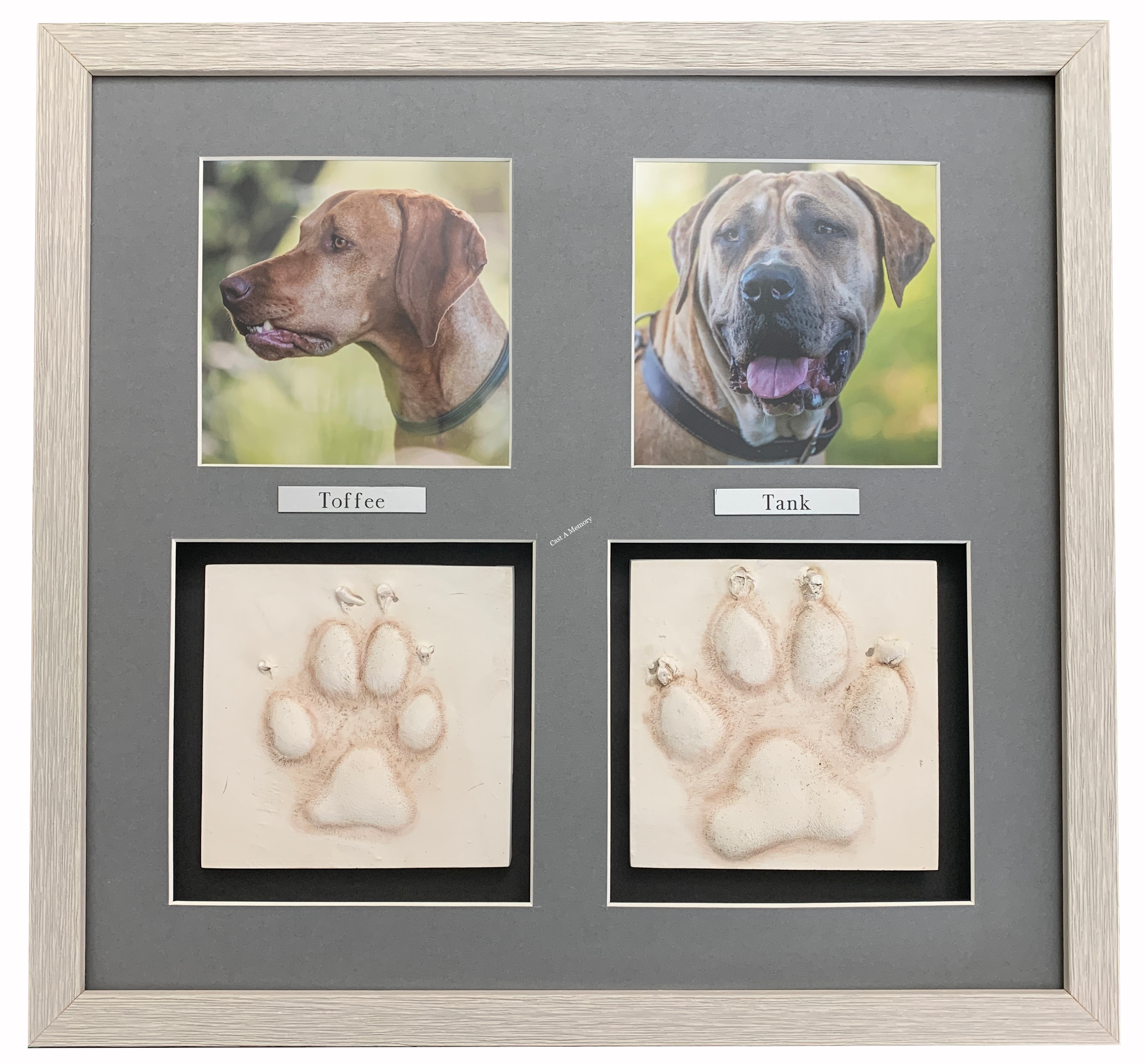Dog pawprints in clay keepsake