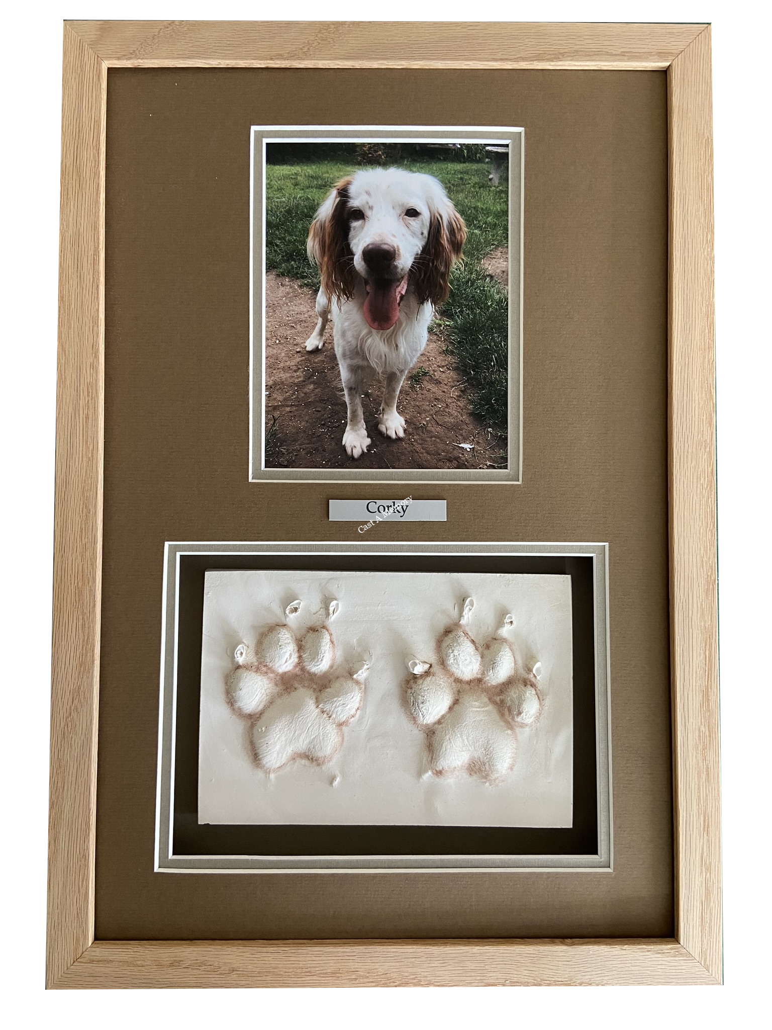 Pet Keepsake Gifts Memorials Cast a Memory Essex