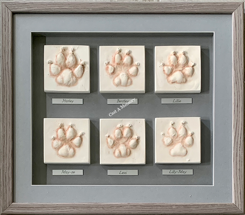 Multiple Clay dog Paw print impressions framed in oak