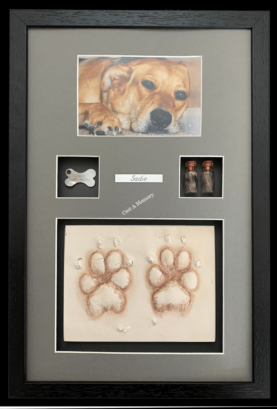 framed dog paw print impression in clay with photo tag and hair