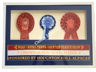 animal 3 rosettes framed