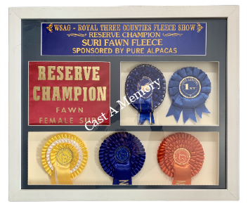 alpaca animal 5 rosettes framed