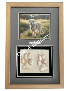 dog paw prints in clay framed with photo