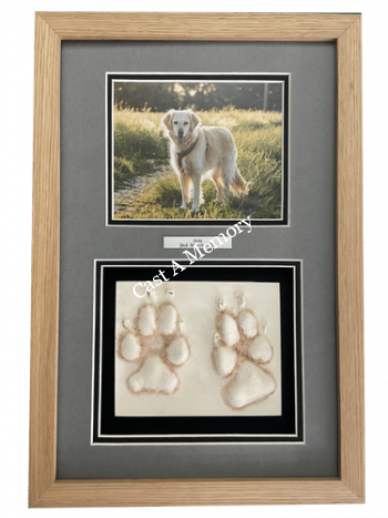 dog paw prints in clay framed with photo