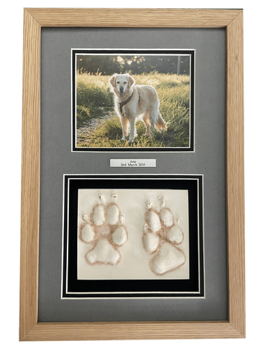 clay dog paw prints in clay framed with photo