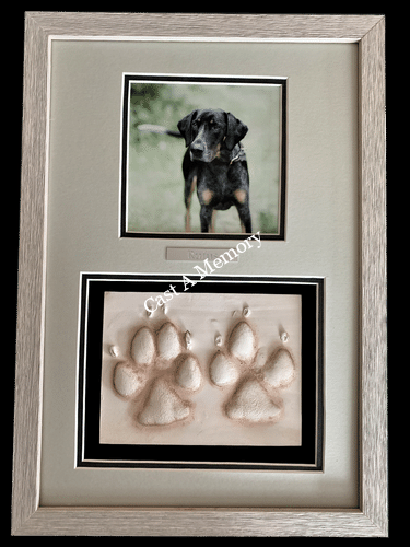 clay paw prints with photo framed