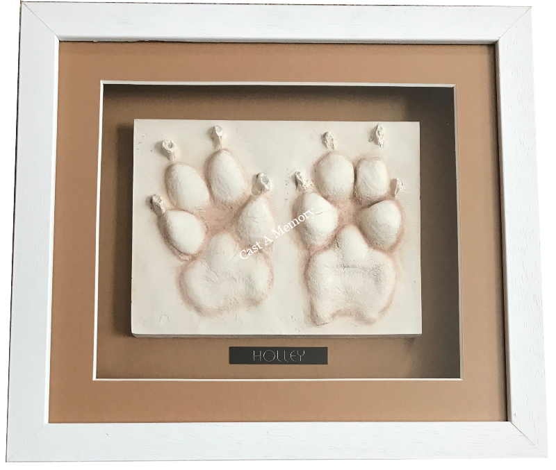 dog paw print impressions in clay framed