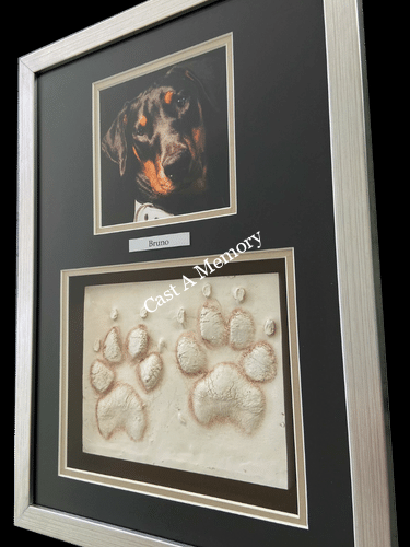 dog paw prints in clay framed with photo