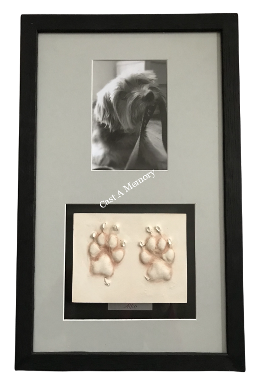 dog paws print impressions in clay with photograph of pet