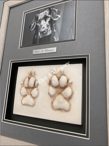 dog prints in clay with photo framed