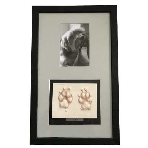 paw print framed with photo - clay