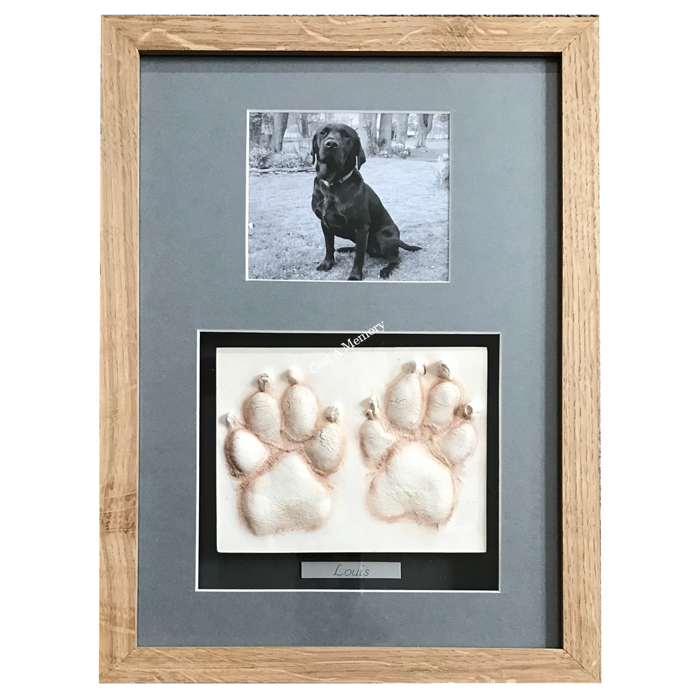framed dog pa print impressions in clay with black and white photo