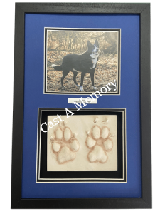 framed dog paw prints in clay with photo