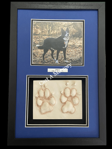 framed dog paw prints in clay with photo
