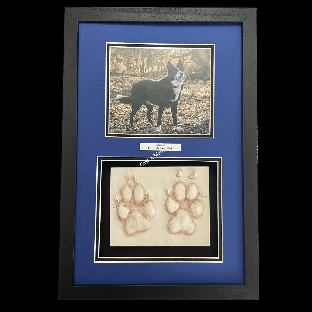 framed dog paw prints in clay with photo
