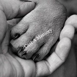hand-andpaw