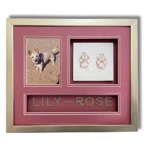 pet paw print keepsake
