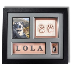 lola