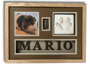 Guinea Pig MEMORIAL KEEPSAKE