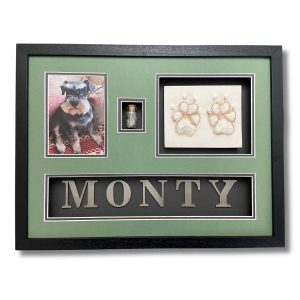 monty
