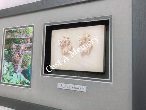 Cat keepsake paw print impression