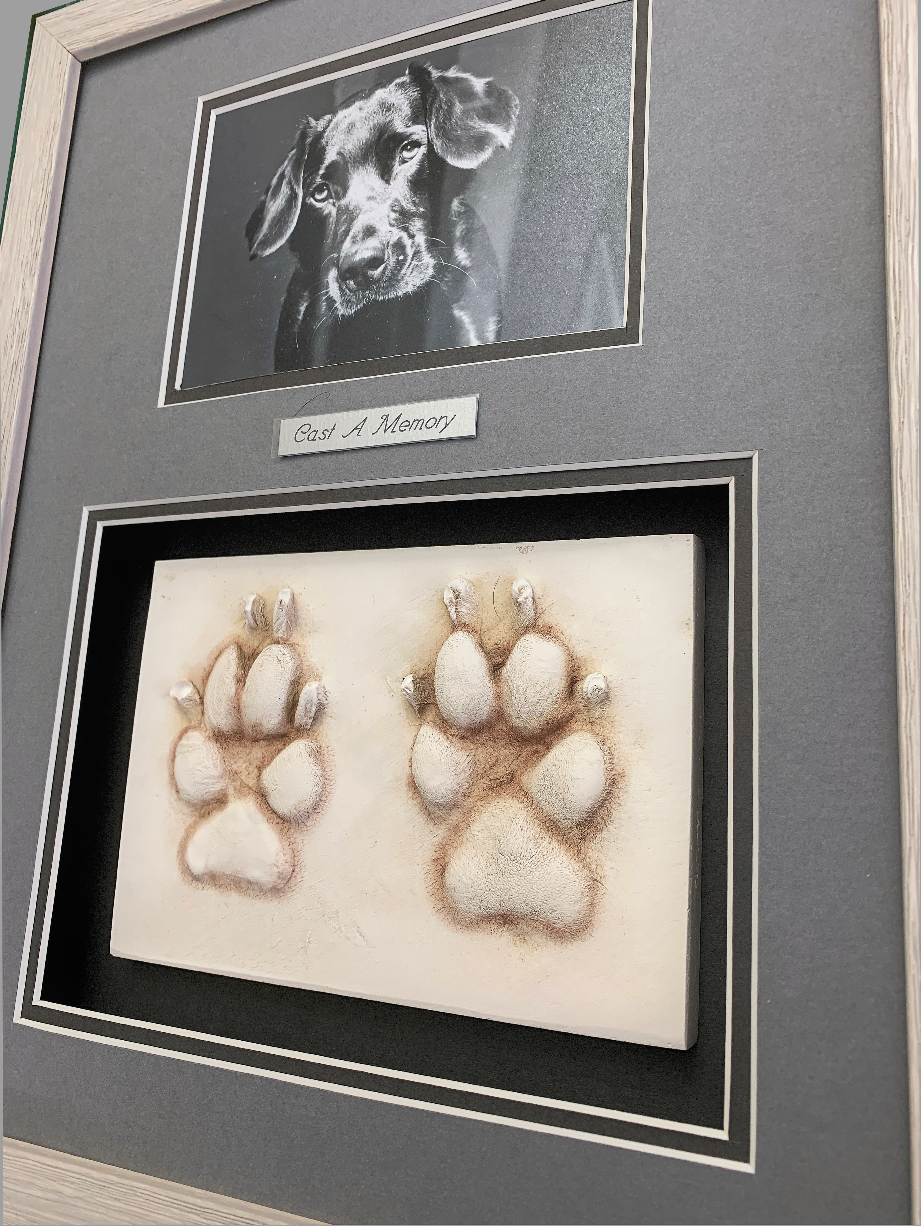 Dog paw prints in clay