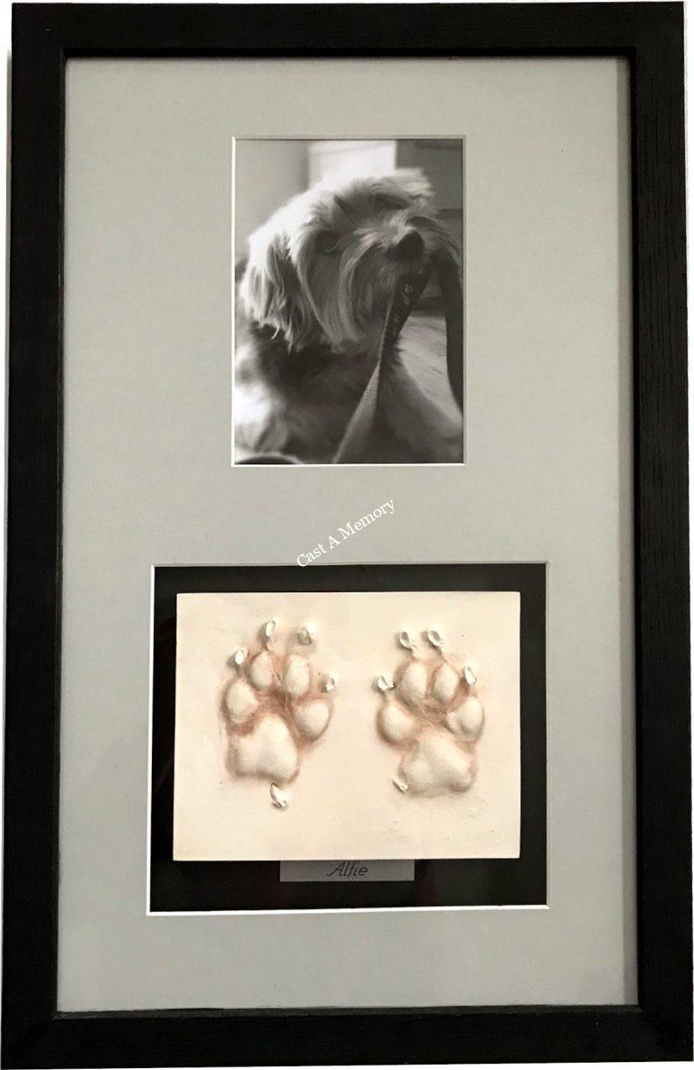 Paw Prints in Clay with photo