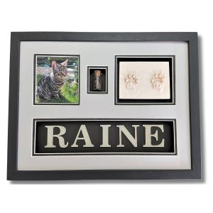 raine