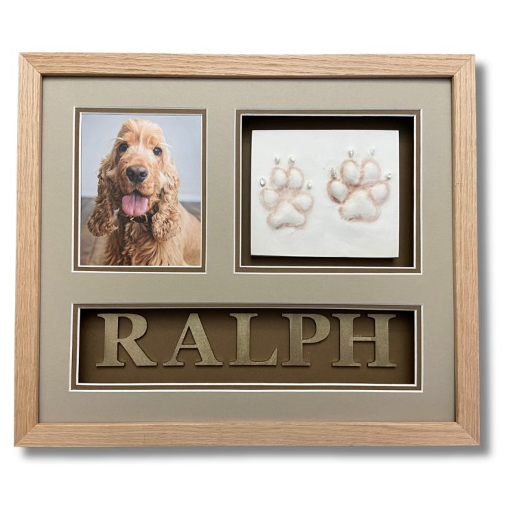 pet paw prints in clay keepsake