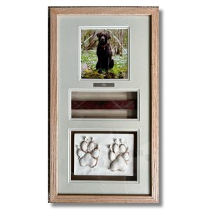 dog paw prints and collar