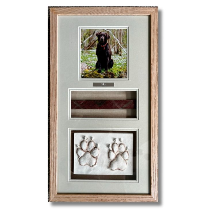 dog paw prints and collar