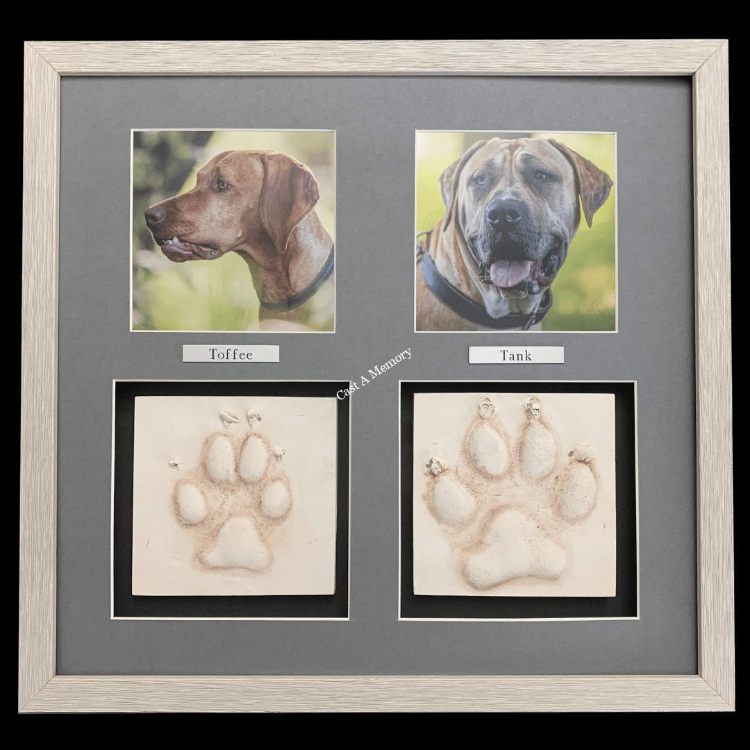 two dog clay prints with photos